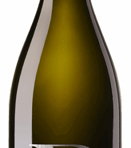 Der größte Sauvignon-Blanc-Wurf des Weinguts Emil Bauer. Ein Einzellagenwein