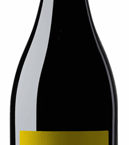 Ein Paradebeispiel für einen Ortswein: fantastisches Preis-Genuss-Verhältnis und ein spannender Ausdruck von Chardonnay.