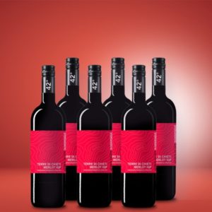 Alternative view of Quarantadue - by Cantina Tollo Merlot IGP 2021 6er Weinpaket