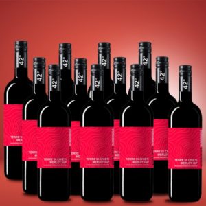 Alternative view of Quarantadue - by Cantina Tollo Merlot IGP 2021 12er Weinpaket