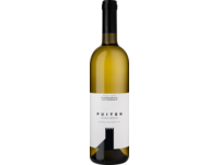 Schreckbichl Pinot Grigio "Puiten" 2022