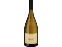 Sauvignon Winkl 2024