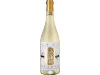 Grande Collezione Gavi 2024