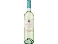 Marchesi di Barolo Gavi 2024