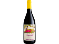 Passiperduti Grillo 2024