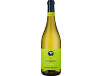 Vellodoro Pecorino 2024