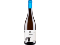 San Salvatore Elea Greco 2022