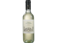Villa Antinori Bianco 2024