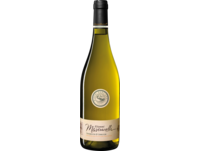 Gianni Masciarelli Trebbiano d'Abruzzo 2024