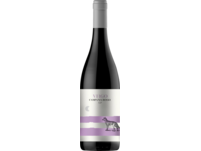 Virgo Campania rosso 2022