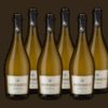 Antonico Prosecco Karton-Angebot