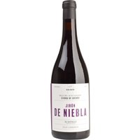Rico Nuevo Jirón de Niebla 2019 besticht durch Aromen von roten Früchten