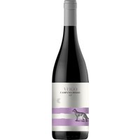 Der Virgo Campania Rosso IGP 2022 aus der Kellerei Villa Raiano bietet ein bemerkenswertes Aromenspiel fruchtiger Beeren