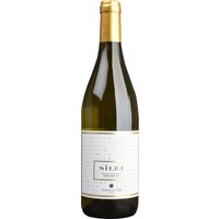 Der Terrescure Silei Bianco 2023 aus der Toskana präsentiert sich in einem strahlenden Hellgelb. In der Nase entfalten sich florale Aromen und Noten von grünem Apfel