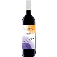 Der Viña Alcanta Tinto von Bodegas Bocopa präsentiert sich als halbtrockener Rotwein