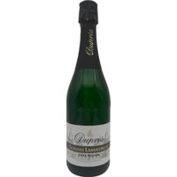 Duprès Schloss Landestrost Extra Trocken Deutscher Sekt ist ein Qualitätsklassiker mit lebendigem Charakter. Diese extra-dry Cuvée beeindruckt mit anregendem Aroma und brillantem Perlenspiel. Die Basis bilden kalt vergorene Grundweine eines Jahrgangs