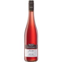 Der Divino Juventa Rotling 2024 aus Franken verkörpert die lebendige Lebensfreude der Region. Dieser halbtrockene Roséwein der Winzergenossenschaft Divino Nordheim-Thüngersheim präsentiert in der Nase intensive Aromen von reifen Erdbeeren und Himbeeren