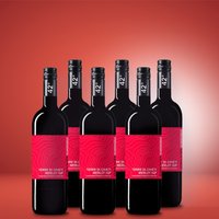 Quarantadue - by Cantina Tollo Merlot IGP 2021 6er Weinpaket