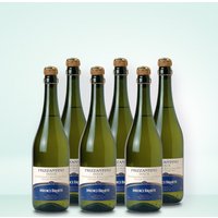 Medici Ermete Frizzantino 6er Vorratspaket