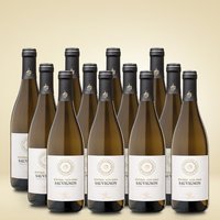 Gries Sauvignon 12er Vorratspaket
