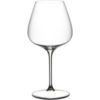Das Grape Glas Pinot Noir Nebbiolo Aperitivo von Riedel Glas ist ein herausragendes Accessoire für den Genuss von delikaten Weinen wie Pinot Noir und Nebbiolo. Mit seinem flachen Glasboden und dem eleganten