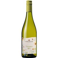 Der Ihringer Souvignier Gris PIWI der Kaiserstühler Winzergenossenschaft aus dem Jahrgang 2023 zeigt sich in einem hellen Gelb mit erfrischenden Grünreflexen. Das Bukett offenbart eine Fülle intensiver Aromen