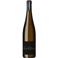 Der Dreissigacker Einzigacker Weissburgunder 2020 aus Rheinhessen beeindruckt durch eine zugleich feine und kraftvolle Struktur. Seine komplexe Aromatik entfaltet eine breite Palette
