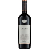 Der L'Avenir Provenance Pinotage 2022 aus Stellenbosch präsentiert eindrucksvolle Noten von saftigen Kirschen und reifen Maulbeeren