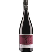Der Friedrich Becker Spätburgunder 2020 aus der Pfalz beeindruckt mit markanten Aromen von Kiefer