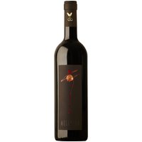 Malavasi Mulinero präsentiert sich im Glas in einem intensiven Rubinrot mit granatroten Reflexen. Das komplexe Bouquet vereint Aromen von Kirschen