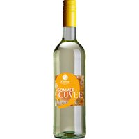 Das 2024er Sommer-Cuvée aus der Pfalz vereint Scheurebe