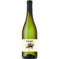 Der Lungarotti Il Pometo Pinot Grigio 2024 aus Umbrien präsentiert sich in einem hellen Gelb mit floralen und fruchtigen Noten von Pfirsich