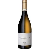 Die Trauben dieses Rieslings wachsen an den Steilhängen des Cannstatter Zuckerbergs