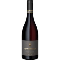 Filigrane Noten schwarzer Kirsche und Cassis verbinden sich mit Nuancen von grüner Paprika und feinem Pfeffer. Zarte Anklänge von Schokolade