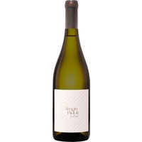 Der Bidoli Pinot Grigio 2024 präsentiert sich in einem hellgelben Glanz und zeigt zarte Anklänge von Zitronenmelisse sowie saftige Honigmelone