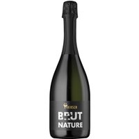 Dieser Brut Nature Sekt aus dem Hause Christian Hirsch zeichnet sich durch seine frische und elegante Art aus. In der Nase entfalten sich Noten von Zitrusfrüchten sowie eine zarte Brioche-Note. Am Gaumen zeigt er sich mit fruchtigen Nuancen
