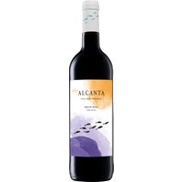 Samtige Noten reifer roter Früchte prägen das Geschmacksbild des Viña Alcanta Tinto 2024. Die halbtrockene Ausprägung sorgt für Frische