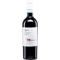 Der Vallevo Costa dei Trabocchi Montepulciano Riserva 2020 zeigt sich in dunklem Rubinrot mit einem facettenreichen Bouquet