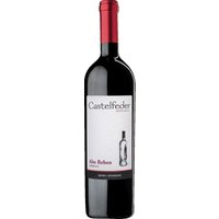 Die Weinberge von Castelfeder liegen im Südtiroler Unterland