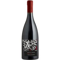 Der Questo Amico Leggero Appassimento präsentiert sich mit einer sanften Struktur und eröffnet vielfältige Facetten der Appassimento-Weine. Aromen von getrockneten Früchten und floralen Noten verschmelzen mit Eindrücken dunkler Beeren