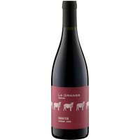 Blumige Duftnoten eröffnen diesen facettenreichen Rotwein aus dem Languedoc-Roussillon. Das Aroma vereint dunkle Beeren mit würzig-nussigen Anklängen sowie balsamischen Nuancen. Die Vielfalt bleibt lange am Gaumen erhalten