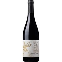 Mit seinen Naturweinen möchte Star-Önologe Xavier Vignon den ungeschminkten Ausdruck des Terroirs an der südlichen Rhône in die Flasche bringen. Der Natura in Fine Ventoux stammt aus unterschiedlichen Parzellen mit Lehm- oder Kalksteinböden sowie Kies. Grenache