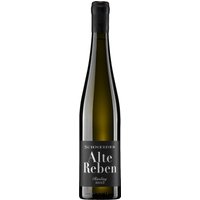 Der Markus Schneider Riesling Alte Reben 2022 stammt von über 30 Jahre alten Rebstöcken auf kalk- und kieselhaltigen Böden in der Pfalz. In der Nase prägen Zitrusnoten