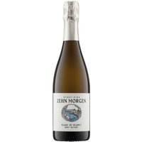 Der erste Jahrgang des Blanc de Blancs Brut Nature ist ein Jahrgangs-Sekt mit traditioneller Flaschengärung. Die Reben wachsen auf rotem und gelbem Sandstein. Die Trauben wurden von Hand gelesen und im 2.500-Liter- Doppelstück spontan vergoren. Flaschengärung und Hefelager verliefen über 24 Monate bevor der Sekt ohne Dosage degorgiert wurde. Nach dem Einschenken wird das schäumende Mousseux des Sektes innerhalb von Sekunden fein. Am Gaumen bietet er eine cremige Textur und zeigt sich mit geschliffener Säure und kreidiger Mineralität. All das bietet diernBasis für eine saftige und doch feste weißfleischige und zitrische Frucht