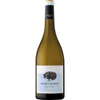 Der Pedro Escudero Valdelagunde Sauvignon Blanc 2024 besticht durch eine helle Farbe und ein Bouquet aus Zitrusfrüchten