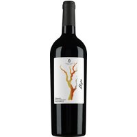 Der Aglianico aus dem Jahrgang 2022 von Cantina Sampietrana aus der Region Salento präsentiert sich in einem tiefen Rubinrot mit granatroten Reflexen. Das Aromaprofil besticht durch intensive Noten reifer schwarzer Kirschen