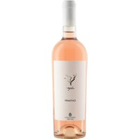 Der Cantina Sampietrana Trefilari Primitivo Rosato aus dem Jahrgang 2024 stammt aus Apulien und präsentiert sich in intensivem Rubinrot. Das Bukett ist geprägt von Aromen roter Beeren