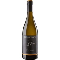 Ein frischer Hauch von Weißdorn und grünem Apfel prägt diesen Weißwein aus Baden. Zarte Zitrusnuancen verbinden sich mit der Fruchtigkeit von Birne