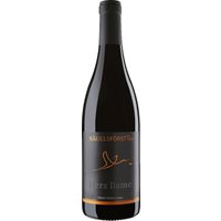 Der 2019er Pinot Noir vom Weingut Nägelsförst aus der Anbauregion Baden besticht durch eine präzise strukturierte