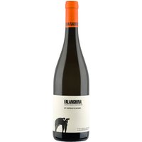 Der Falanghina ist ein preisgekrönter Wein mit einem kristallklaren
